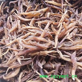 天冬 云南天冬 产地 云南省图3