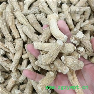 西洋参 西洋参长支10-20g 花旗参 产地 海外图2
