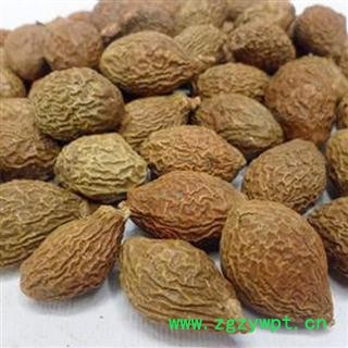 胖大海 胖大海精选泡茶1000克促销批发价 产地 海外 大货批发价图2