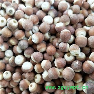 芡实 芡实0.8 产地 广东省肇庆市图2