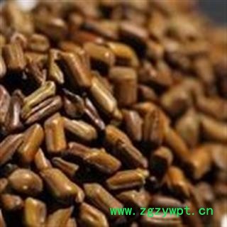 决明子 国产决明子选货 产地 安徽省图3