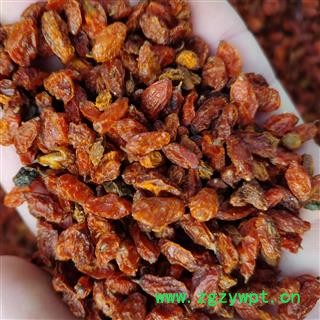 沙棘1000克促销批发价 大统 产地 新疆维吾尔自治区哈密地区巴里坤哈萨克自治县 大货批发价图3