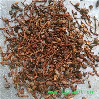 五味子 五味子药厂投料 产地 辽宁省图2