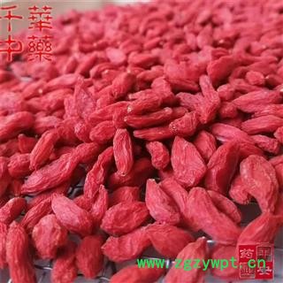 千华中药 宁夏枸杞子 宁夏回族自治 枸杞籽图2