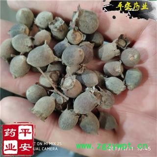 桃金娘子 颗粒整齐 质地饱满 岗稔子 山稔子 桃金娘果【品质保证 卓越品质】图2
