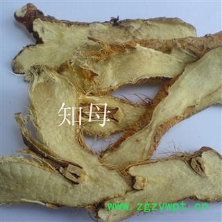知母 知母片 产地 安徽省亳州市谯城区图3