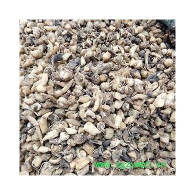 山慈菇 毛慈菇统货 产地 四川省