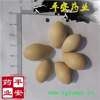 平安药业 白果 正品 优质 银杏果图2