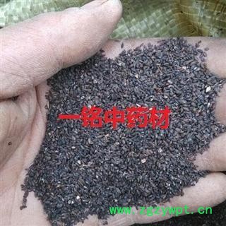 车前子 车前子净货 产地 江西省图2