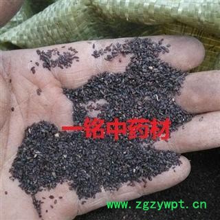 车前子 车前子净货 产地 江西省图3