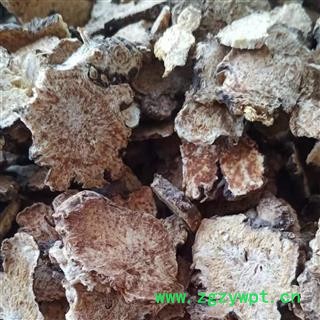 苍术 内蒙种植苍术选货 产地 安徽省图2