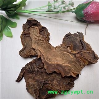 狗脊 金毛狗脊 产地 广西壮族自治区图2