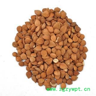 杏仁 苦杏仁选货 无烂掰  皮杏仁 产地 河北省保定市图3