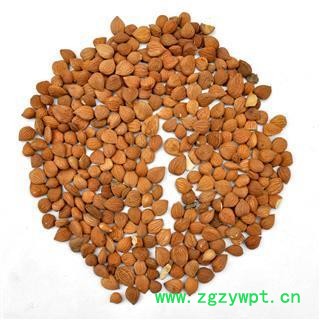 杏仁 苦杏仁选货 无烂掰  皮杏仁 产地 河北省保定市图4