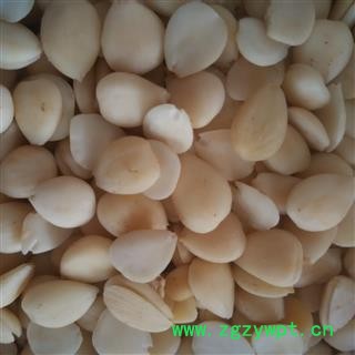 杏仁 选货 去皮苦杏仁 新货   产地 河北省石家庄市图2