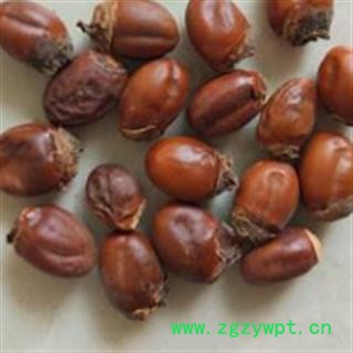 荔枝核   水洗货 个大饱满 产地 广西壮族自治区玉林市图3