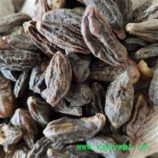 西青果 西青果  选 新货 关书药业 专注品质 产地 广西壮族自治区柳州市图3