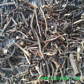 威灵仙 无芦头选货 产地 辽宁省抚顺市新抚区图2