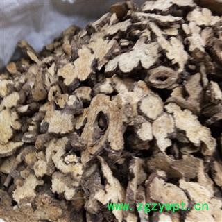 白术 生晒术 产地 湖北省图3