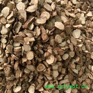 白芷 12mm筛以下 产地 安徽省图2