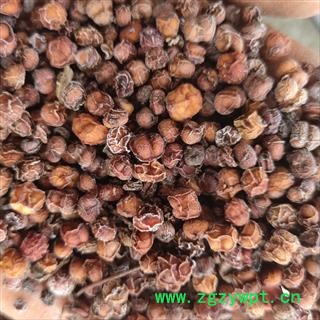 南五味子 南五味子 净货 选货  产地 河南省洛阳市图3