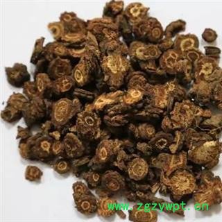 羌活 蚕羌片选货 产地 四川省阿坝藏族羌族自治州图2