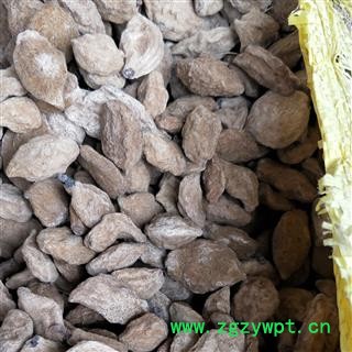 桃仁 桃瘪子，碧草甘 产地 安徽省亳州市图2