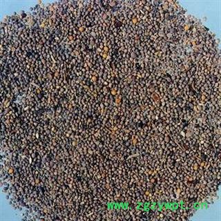 菟丝子1000克促销批发价 菟丝子精选货 产地 内蒙古自治区 大货批发价图2