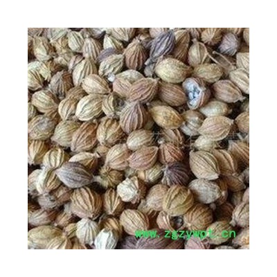 香砂 香砂大统大货批发价 产地 广西壮族自治区