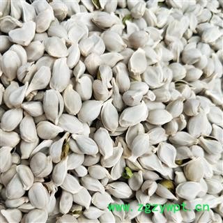 橘核 橘核统货 产地 浙江省图1