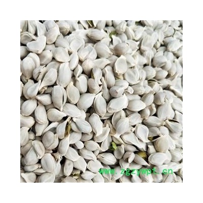 橘核 橘核统货 产地 浙江省