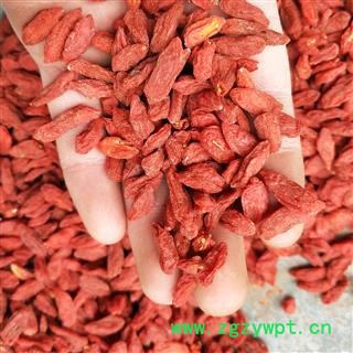 枸杞子 宁夏枸杞水晶粒 产地 宁夏回族自治区图2