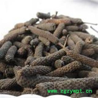 荜茇 好荜茇统 产地 广西壮族自治区图3