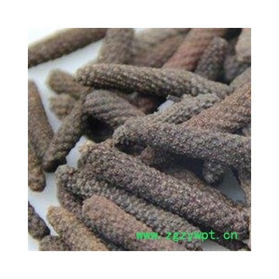 荜茇 好荜茇统 产地 广西壮族自治区