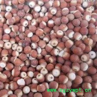 芡实个1000克促销批发 芡实选 产地 广东省图2