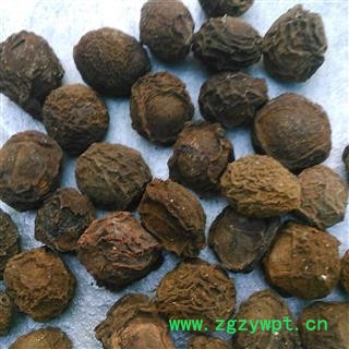 乌梅个1000克促销批发 烟熏乌梅统 产地 四川省图2