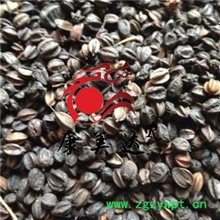 刺五加 籽  刺五加子  产地 吉林省 凯捷中药图3