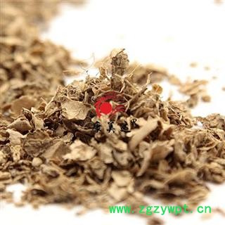 干姜 干姜皮 下脚料 产地 云南省图2