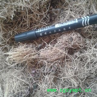 辽细辛 选 产地 辽宁省抚顺市顺城区图2