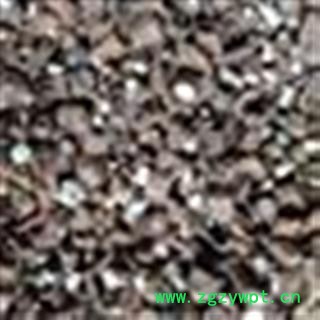 柴胡 藏柴胡 选  产地 西藏图2