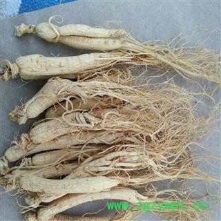 人参 60支生晒参 产地 吉林省图2