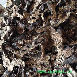 升麻 选货 产地 黑龙江省牡丹江市东安区图2