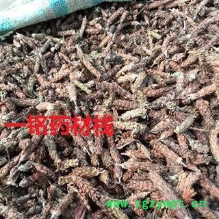 夏枯球 夏枯球净货 产地 河南省图2