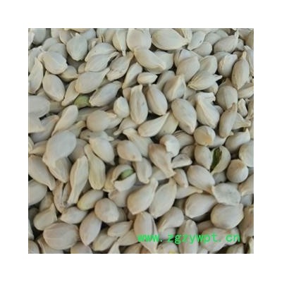 橘核 椪柑核统货 产地 四川省