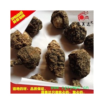 玛咖 选装大果  产地 云南省丽江市华坪县