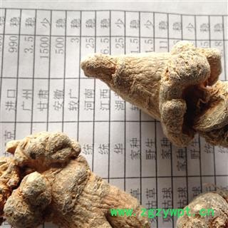 三七 三七20头 产地 云南省图3