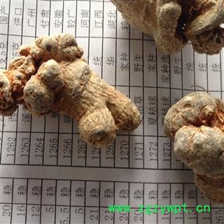 三七 三七20头 产地 云南省图2