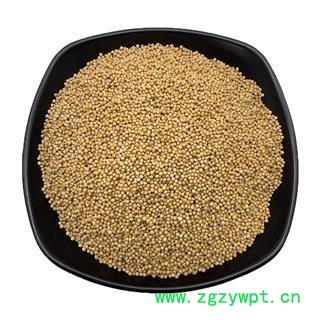 白芥子 【白芥子】 选装白芥子 产地 四川省 产地 山西省大同市图2