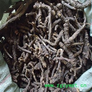 羌活 小统货 产地 四川省 凯捷中药图2