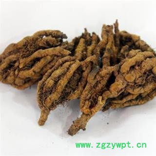 黄连 川黄连 统货 黄莲 产地 四川省 凯捷中药图2